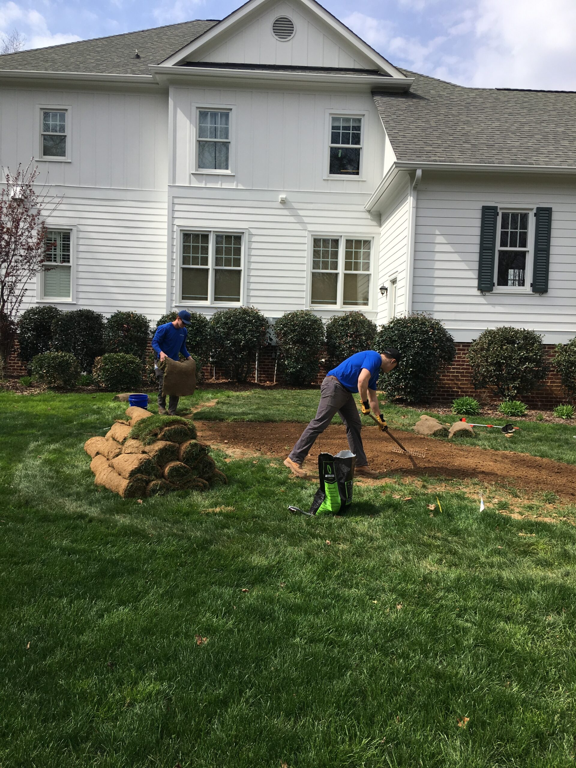 tall fescue in Charlotte