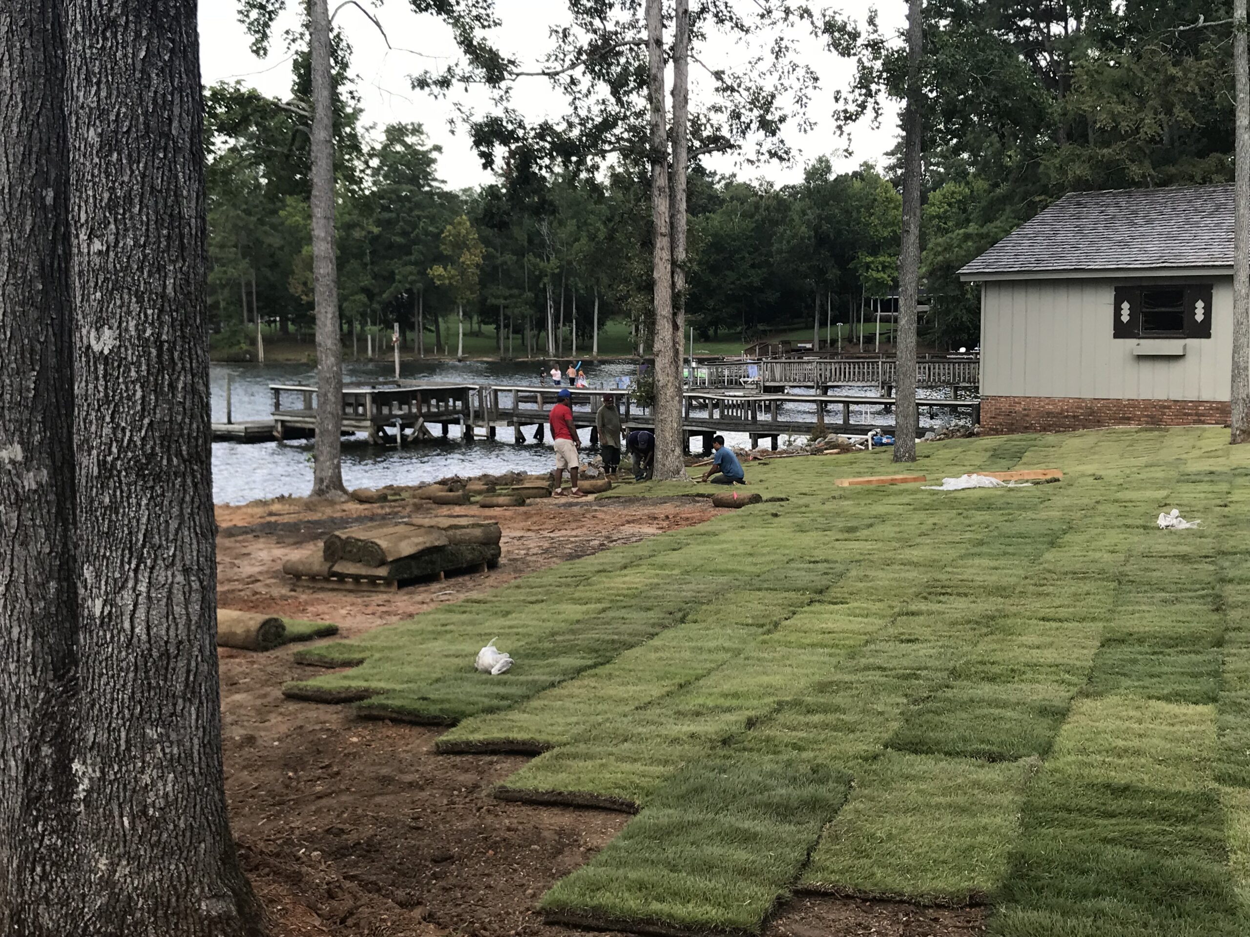 Cavalier Zoysia - Charlotte Sodding